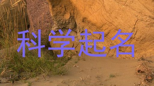 科学起名