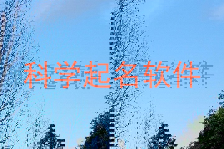 科学起名软件