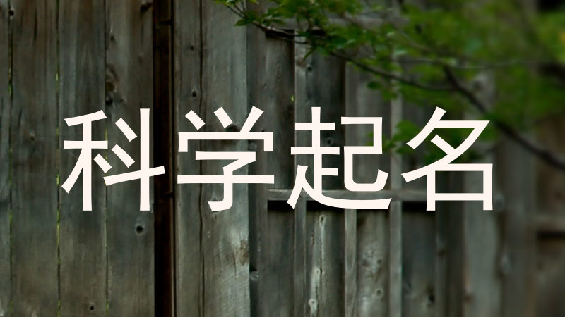 科学起名
