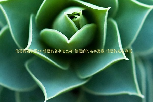 信蓓韵名字评分-信蓓韵名字怎么样-信蓓韵的名字寓意-信蓓韵姓名测试