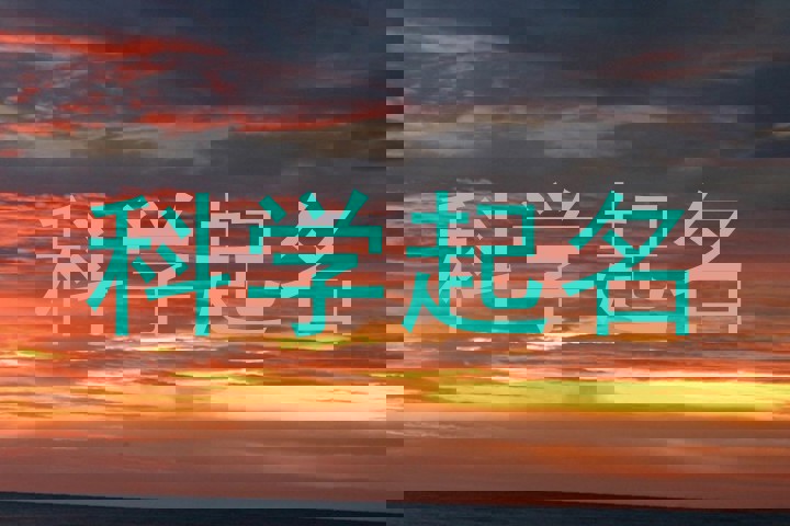 科学起名