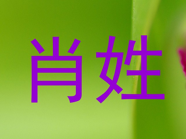 肖姓