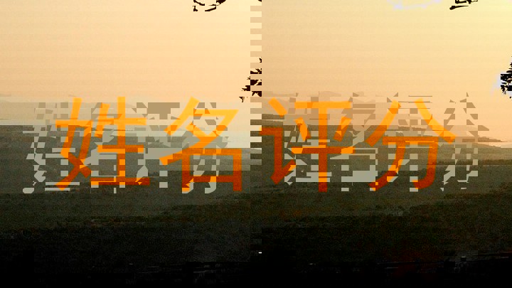 佴莲雅