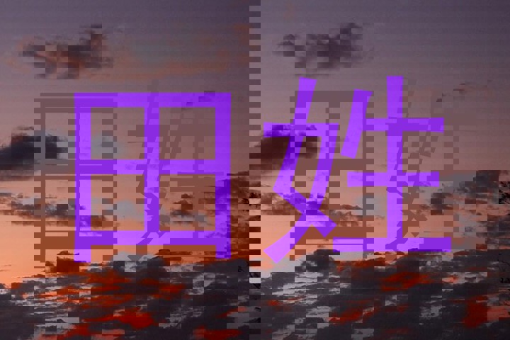 田姓