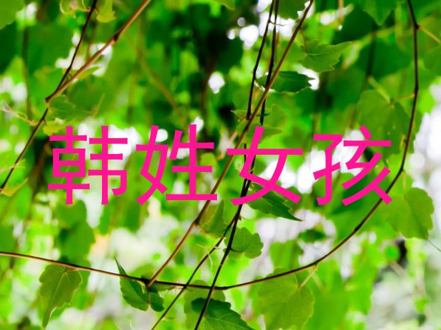 韩姓女孩