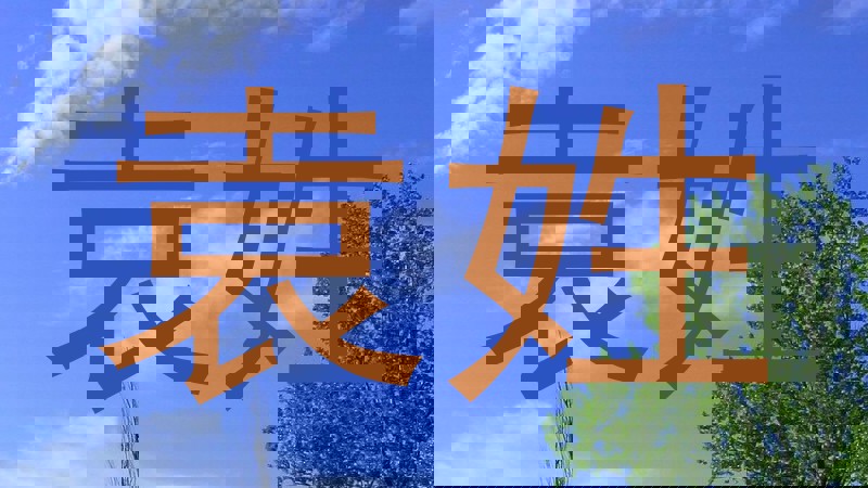 袁姓