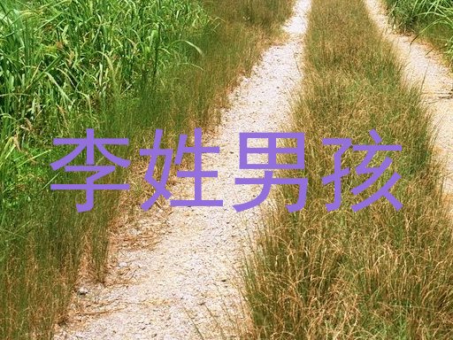 李姓男孩