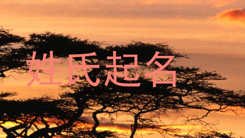 姓氏起名