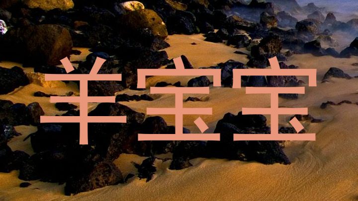 羊宝宝