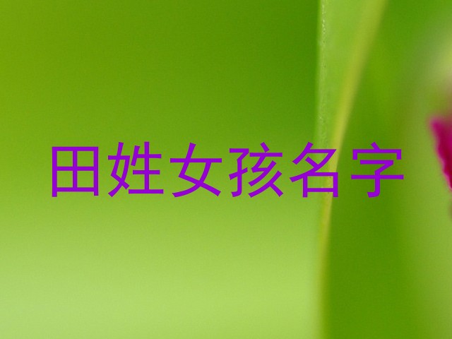 田姓女孩名字