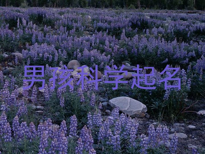 男孩科学起名