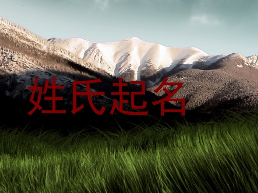姓氏起名