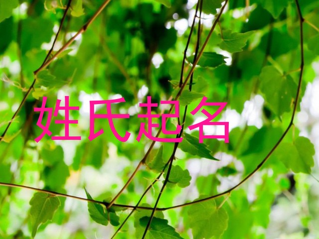 曹姓女孩