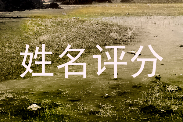 姓名评分