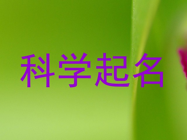 科学起名