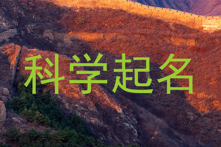 科学起名