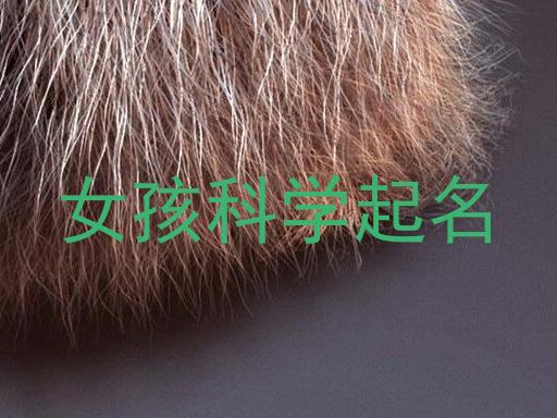 女孩科学起名