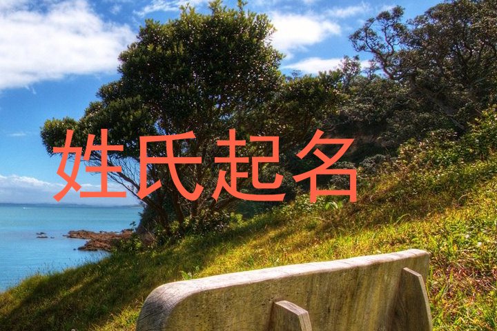 许姓女孩