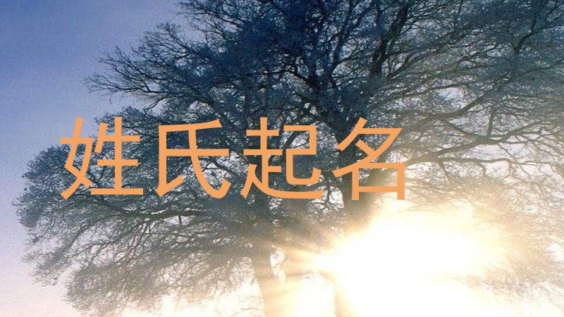 姓氏起名