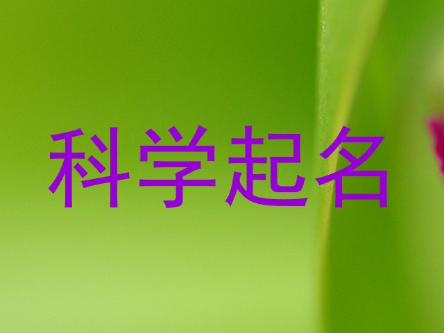 科学起名