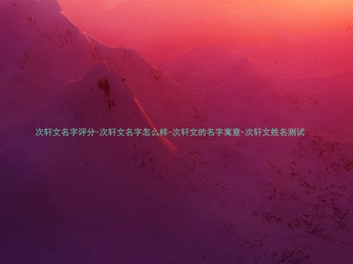 次轩文