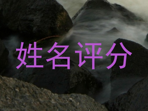 姓名评分