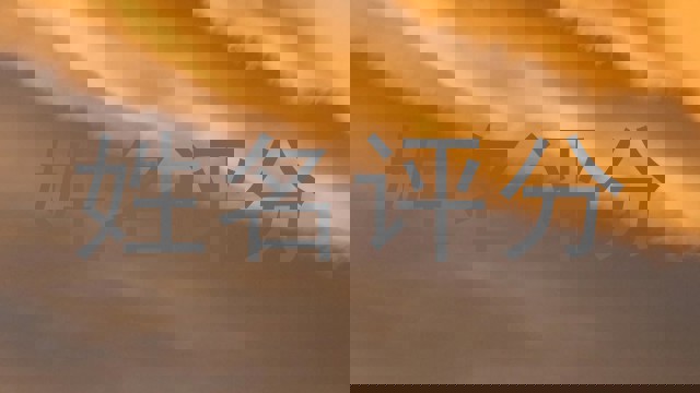 姓名评分