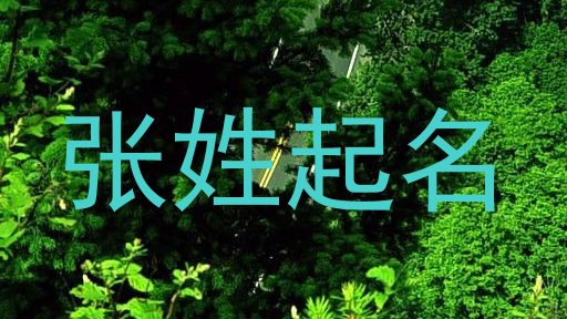 张姓起名