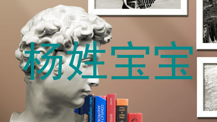 杨姓宝宝