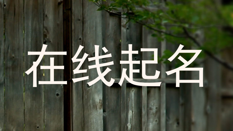 在线起名