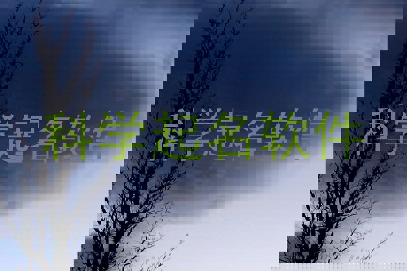 科学起名软件
