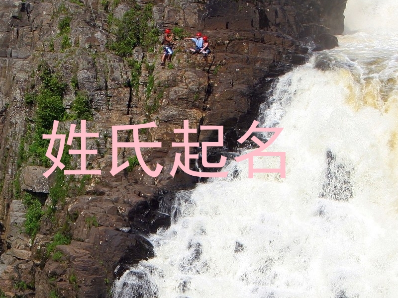姓氏起名