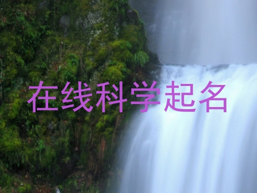 在线科学起名
