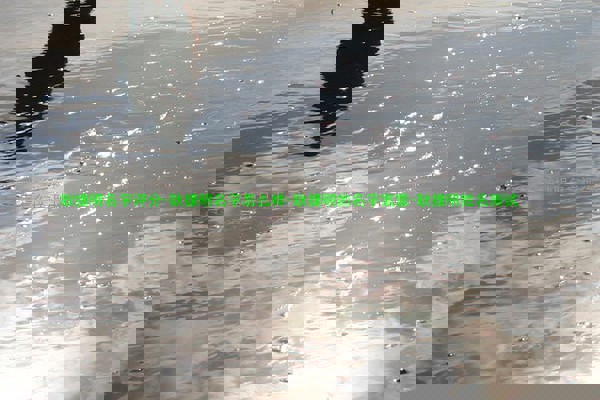 耿捷明名字评分-耿捷明名字怎么样-耿捷明的名字寓意-耿捷明姓名测试