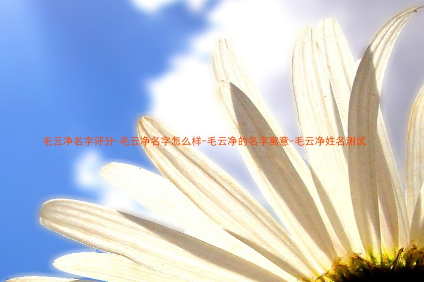 毛云净名字评分-毛云净名字怎么样-毛云净的名字寓意-毛云净姓名测试