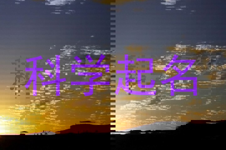 科学起名