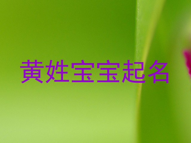 黄姓宝宝起名