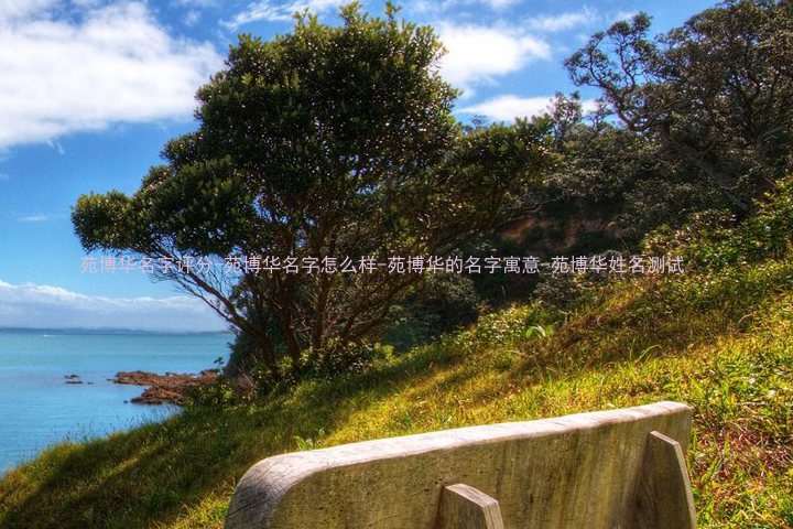 苑博华名字评分-苑博华名字怎么样-苑博华的名字寓意-苑博华姓名测试