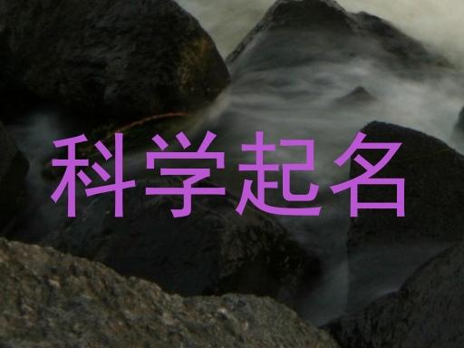 科学起名