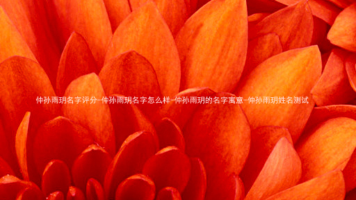 仲孙雨玥名字评分-仲孙雨玥名字怎么样-仲孙雨玥的名字寓意-仲孙雨玥姓名测试