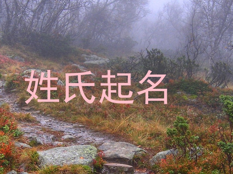 姓氏起名