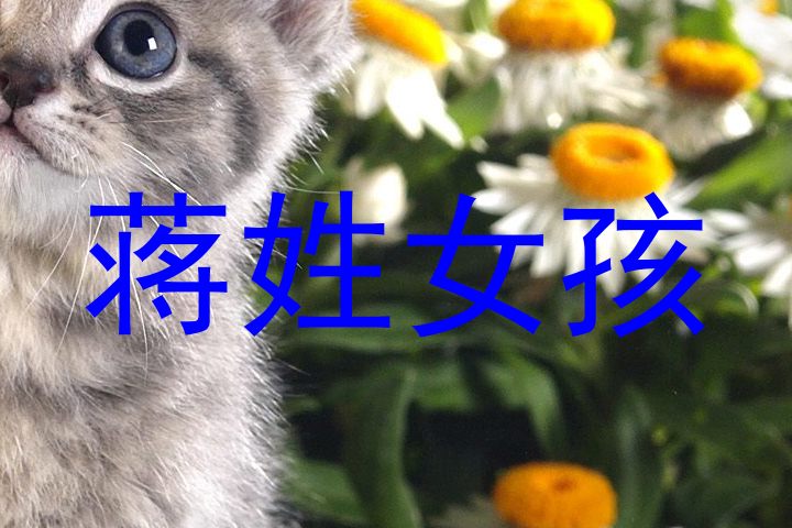 蒋姓女孩