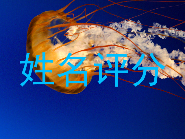 姓名评分