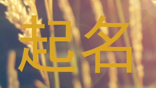 起名
