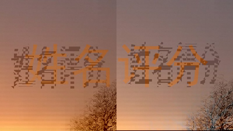 姓名评分