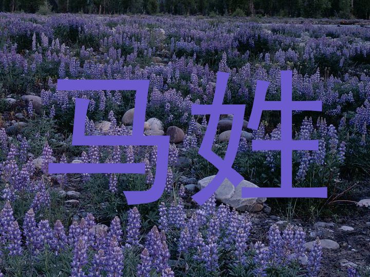 马姓