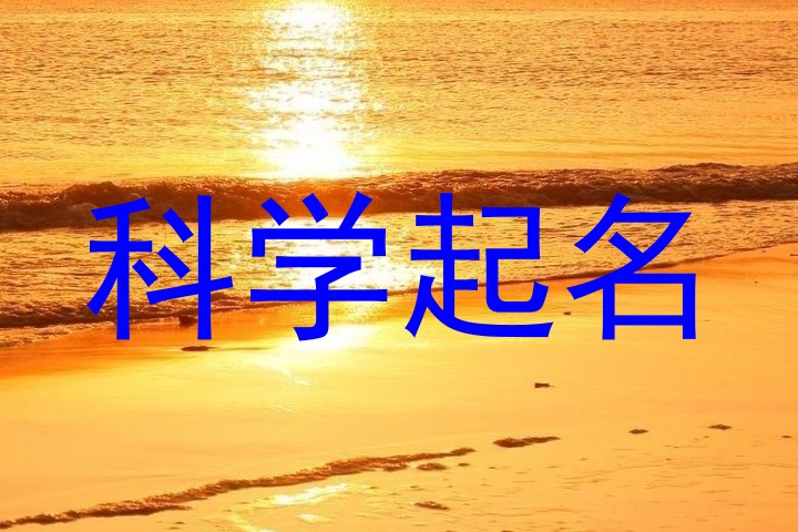 科学起名