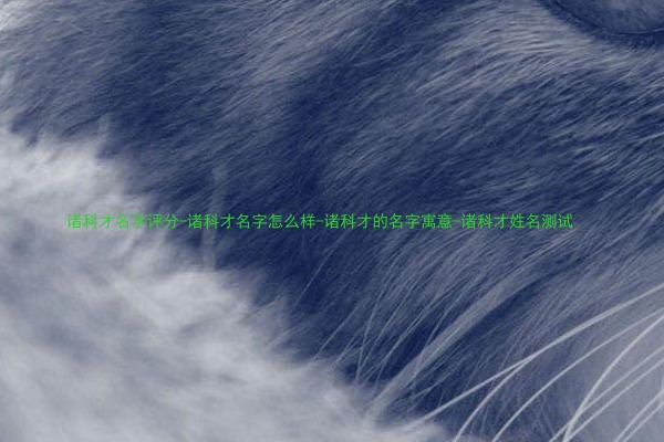 诸科才名字评分-诸科才名字怎么样-诸科才的名字寓意-诸科才姓名测试