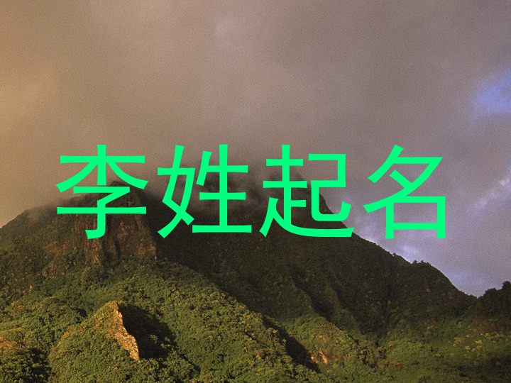 李姓起名