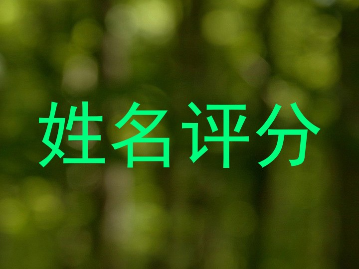 姓名评分